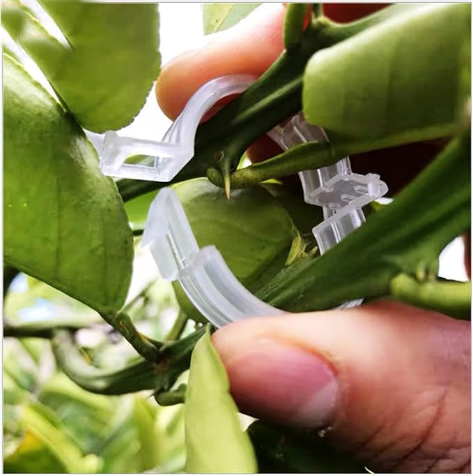 Clipsuri Plante