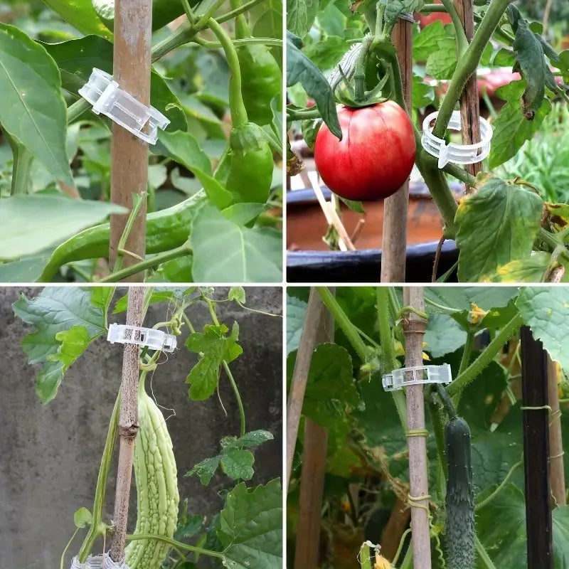 Clipsuri Plante